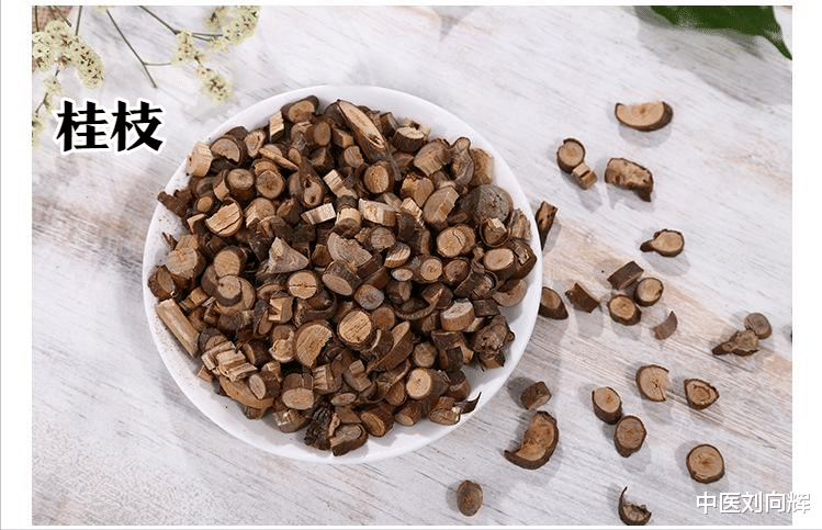 咳嗽|怕冷又怕热，补阳还是养阴？张仲景教你5味药，调和阴阳