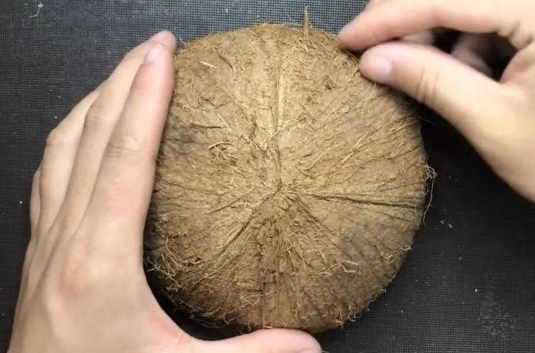 椰壳|教你如何把没用的椰子壳磨成镜子用