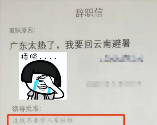 扎心|“广东太热回云南避暑”,毕业生任性离职火了,老板的话很扎心