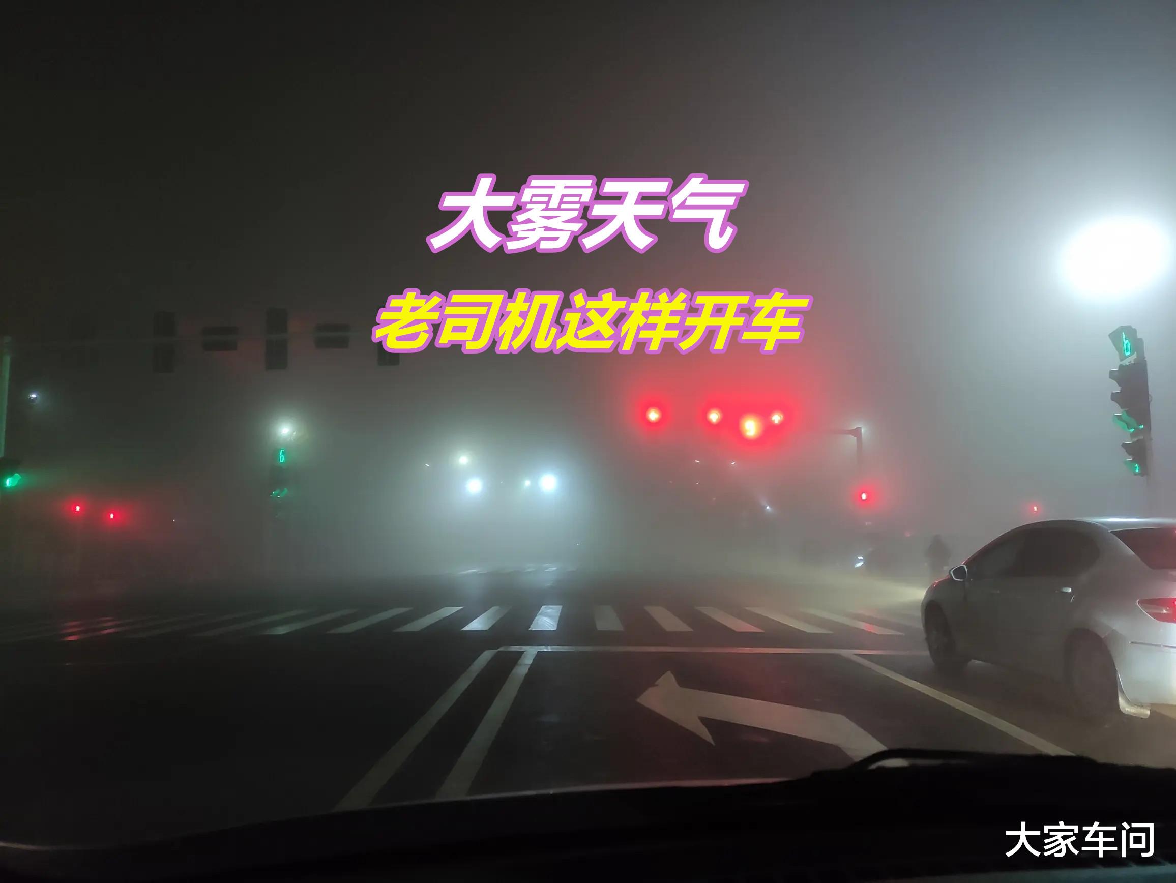 遇到大雾天气时,老司机都这样开车,既轻松又安全