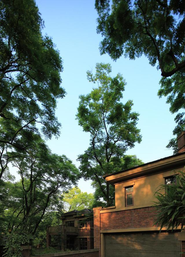 青山湖|山管人丁水管财，家中摆设别乱来：家里三种东西放对，一切就顺了