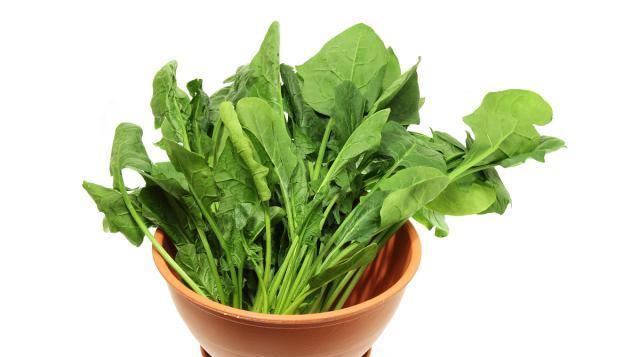 入夏后，建议多吃5菜3果，富含天然高叶酸，中老年人更要懂得吃