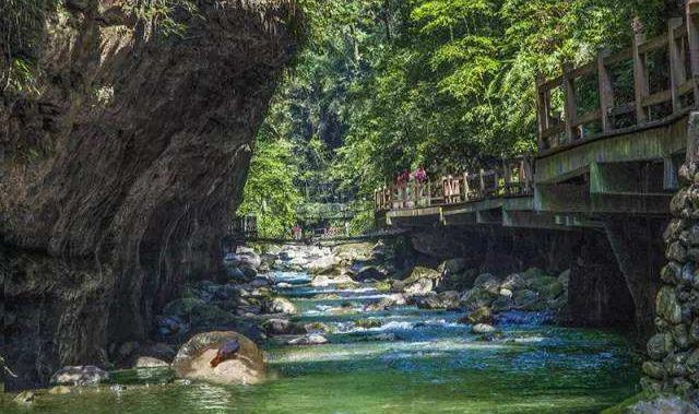 露营|重庆有个景区，是巴渝新12景之一，享有“西南神农架”之美誉