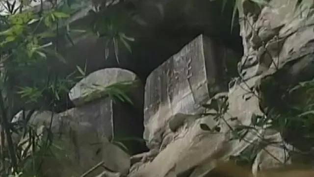 回顾四川村民采药发现“金棺”，悬挂在峭壁上，墓主人是何身份？