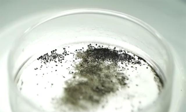 美国送的月岩被证实是假的!荷兰网友:这玩笑开得太大了