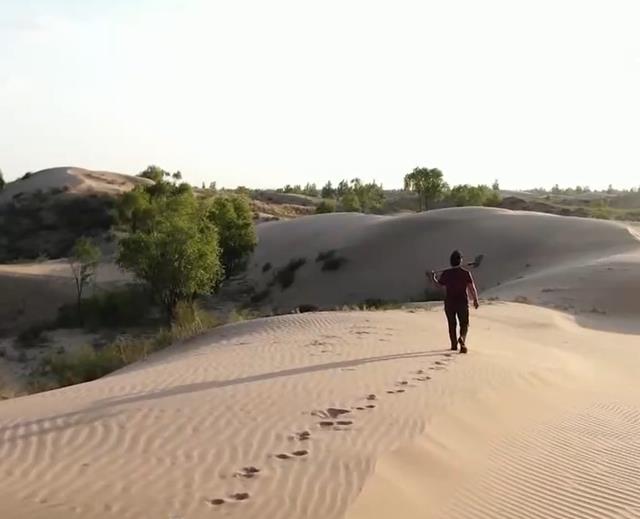 纪实殷玉珍嫁去沙漠睡地窖,大哭7天不甘认命,15年后成“治沙女王”
