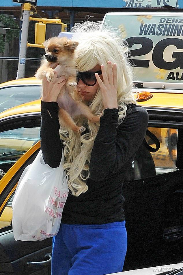 监护权|模仿小甜甜解除监护权,却没有天后好运,昔日青春片女主越发悲催