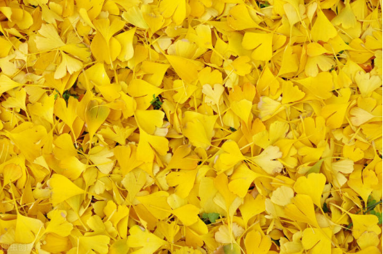 云南|这个国庆来云南，小乔给你点“颜色”看看