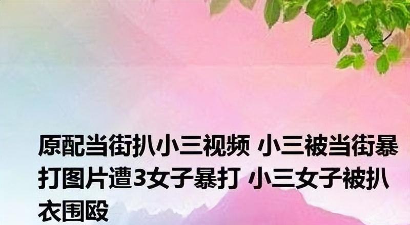 当街暴打第三者,剪头发撕衣服,千万别傻,打小三违法甚至要坐牢