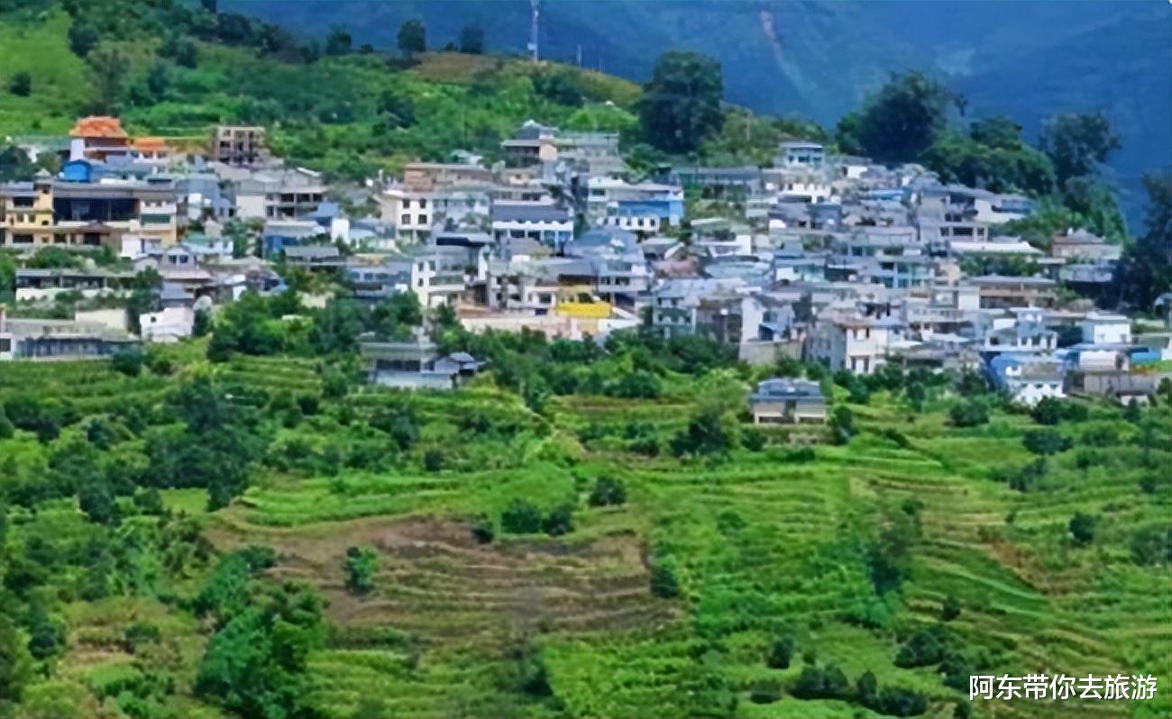 云南|大山深处的“云南第一村”冰岛村，人口不到300人，有6万株古茶树