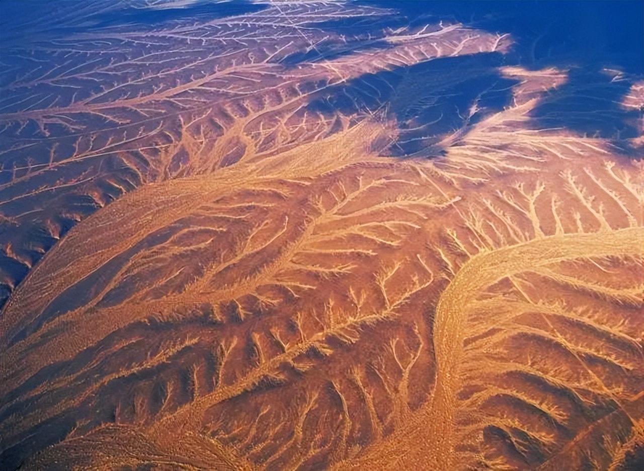 消费券|2022年的夏天,应该没有人不想去新疆吧