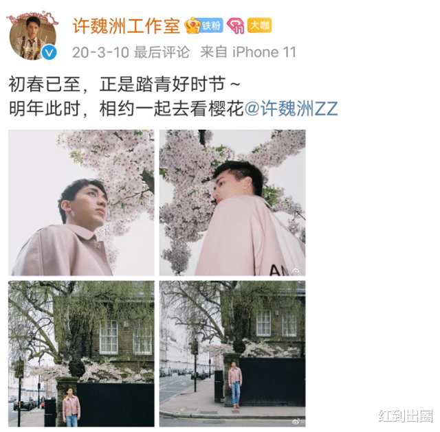 许魏洲|许魏洲妻子身份成谜！被扒秘密交往超4年，疑为女方写歌刻纹身