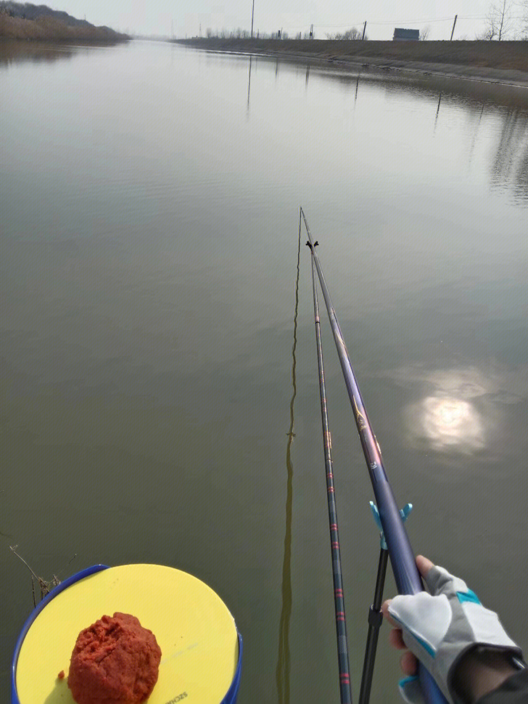 |草鱼如何钓?新手鱼种垂钓教学