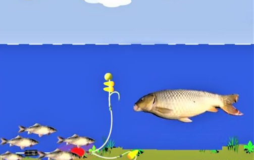 |玉米挂钩方法决定垂钓效果,例举常见的8种,总有一种适合你