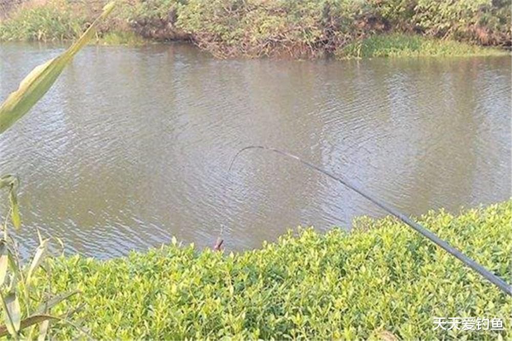 |冬季钓鱼，聚鱼最强方法莫过于这种，多数钓友知道，奈何无法实施