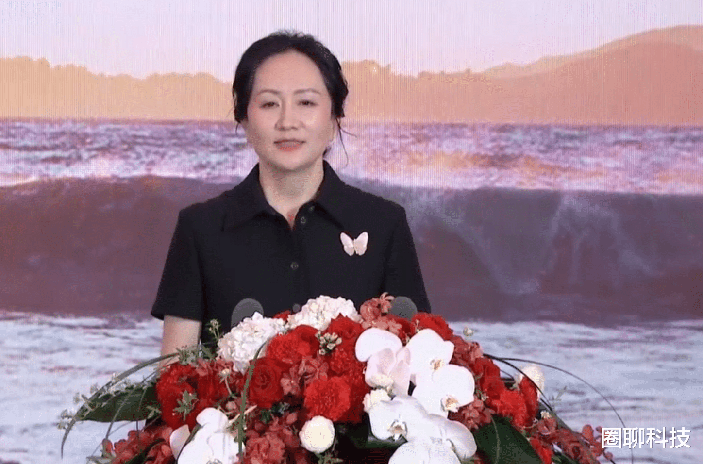 孟晚舟|99000元的胸针，孟晚舟戴着合适吗？