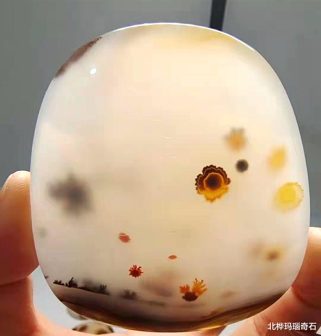 宝贝|捡石头也是心情的寄托