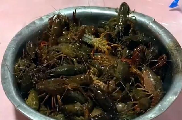 |浙江一男子钓小龙虾,下血本使出了杀手锏,网友:明天扛头猪去钓