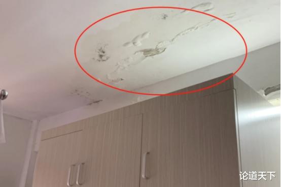 装修新房,是找装修公司还是选择自装?其实还有更好的选择