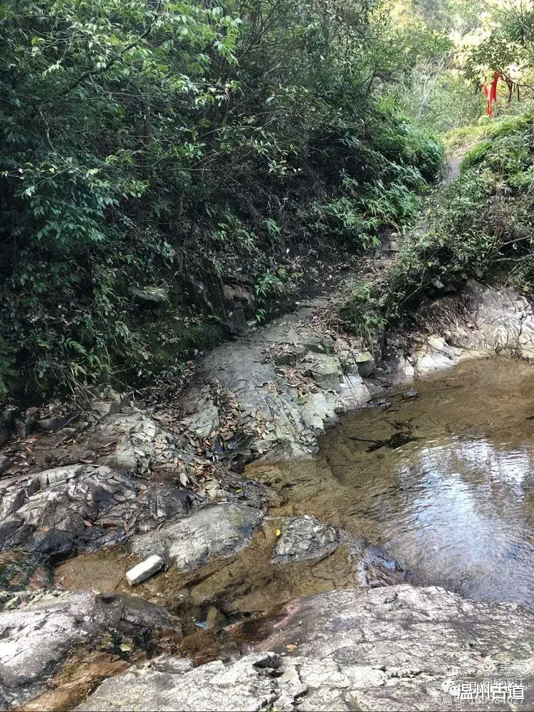 漳州|乐清东加岙栈道环线徒步，值得一去！