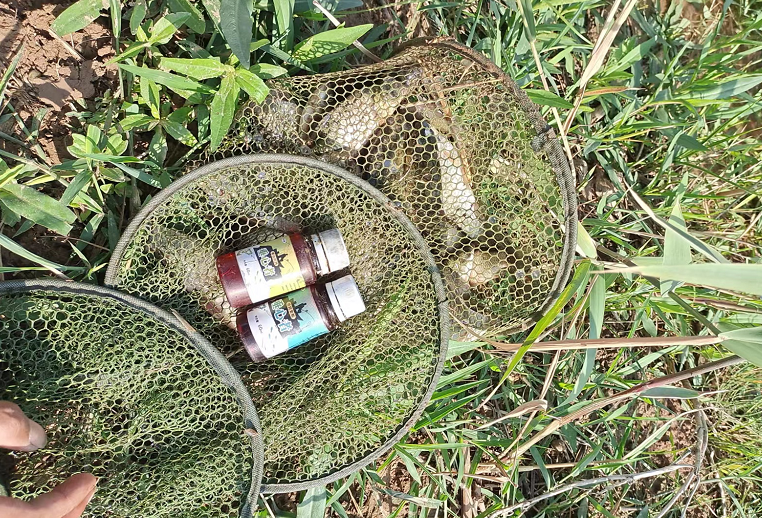 |夏季天气炎热，还傻傻地在太阳下晒？鱼不开口，是因为钓法没用对