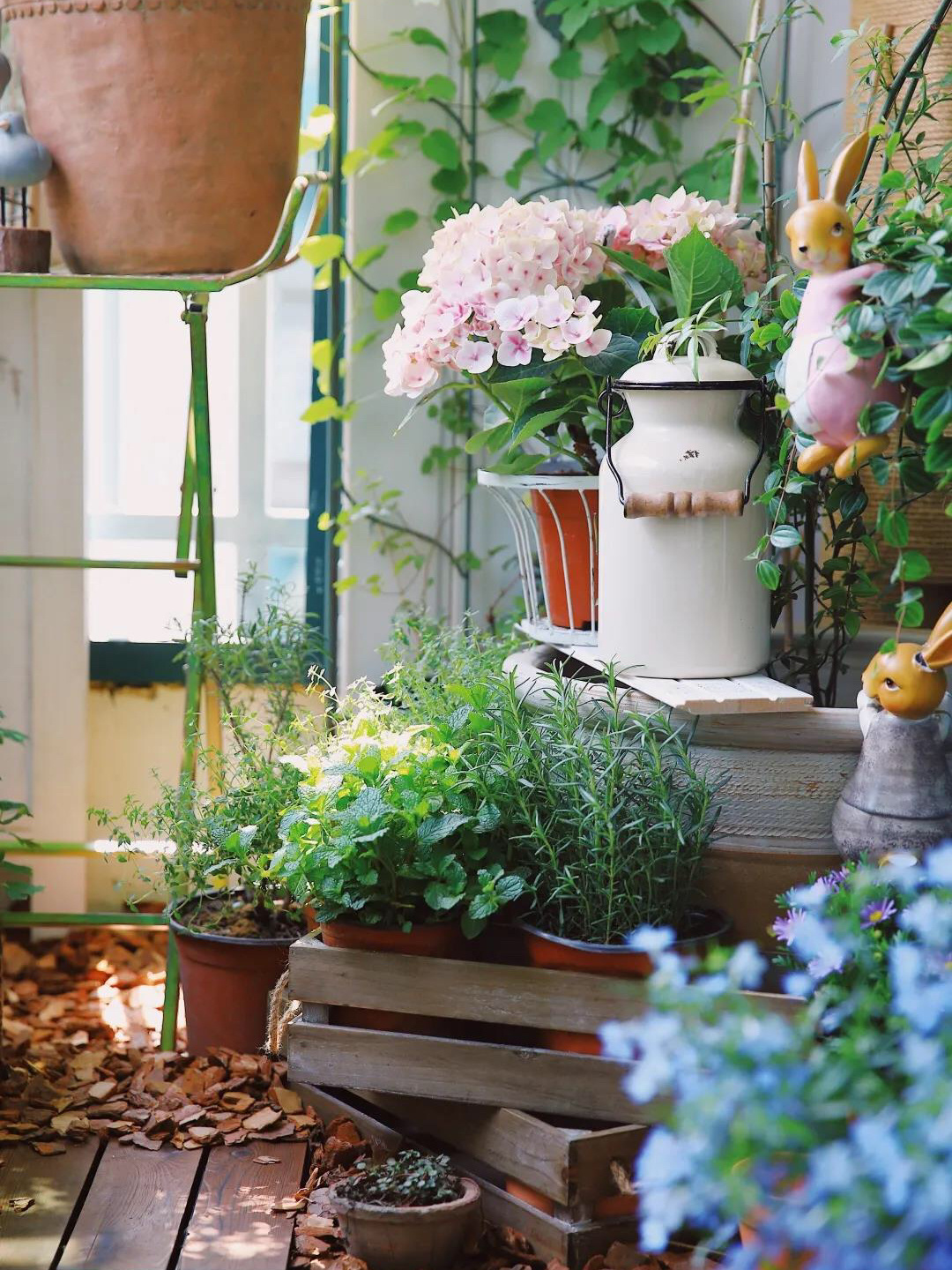 阳台造园：教你在有限的空间内，打造出错落有致的精致小花园