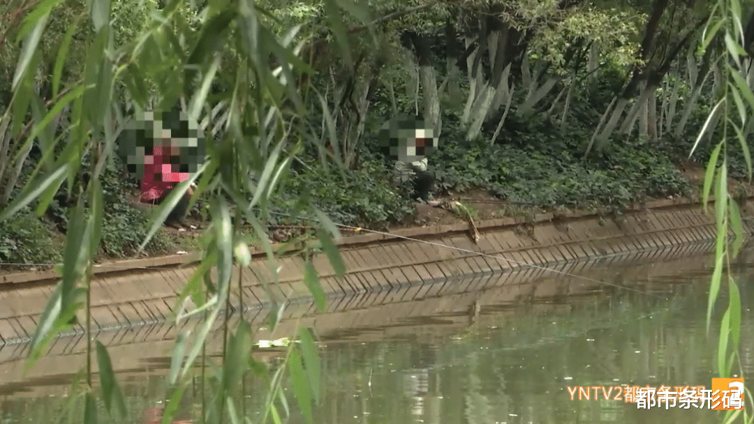 |盘龙江成垂钓乐园?昆明将开放部分水域作为垂钓区?最新回应来了