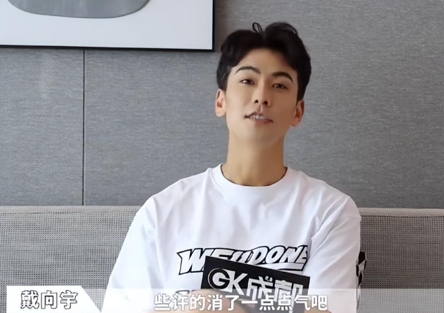 戴向宇|戴向宇拍戏8个月没见老婆！爱情秘诀是忽视婚姻，多看彼此牺牲