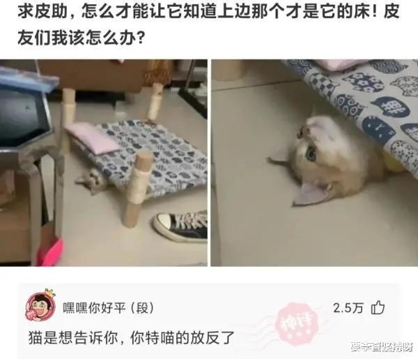 大叔|大叔刷了200万礼物，终于在如家跟网红女神见面，场面不忍直视！哈哈哈