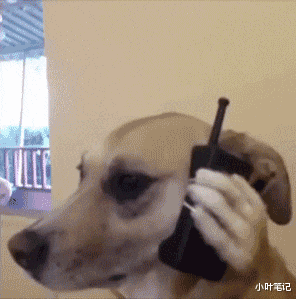 我想问一下，这靴子这么严实，捂一天什么味道？