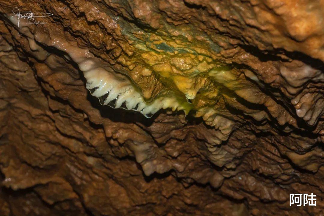 佩特拉|初探杭州千人洞,漆黑环境中的“风景”确实让人惊艳,附详细攻略