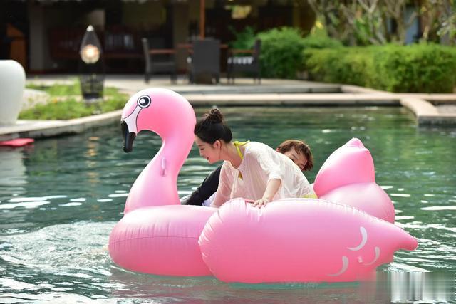 李沁|李沁综艺花絮图