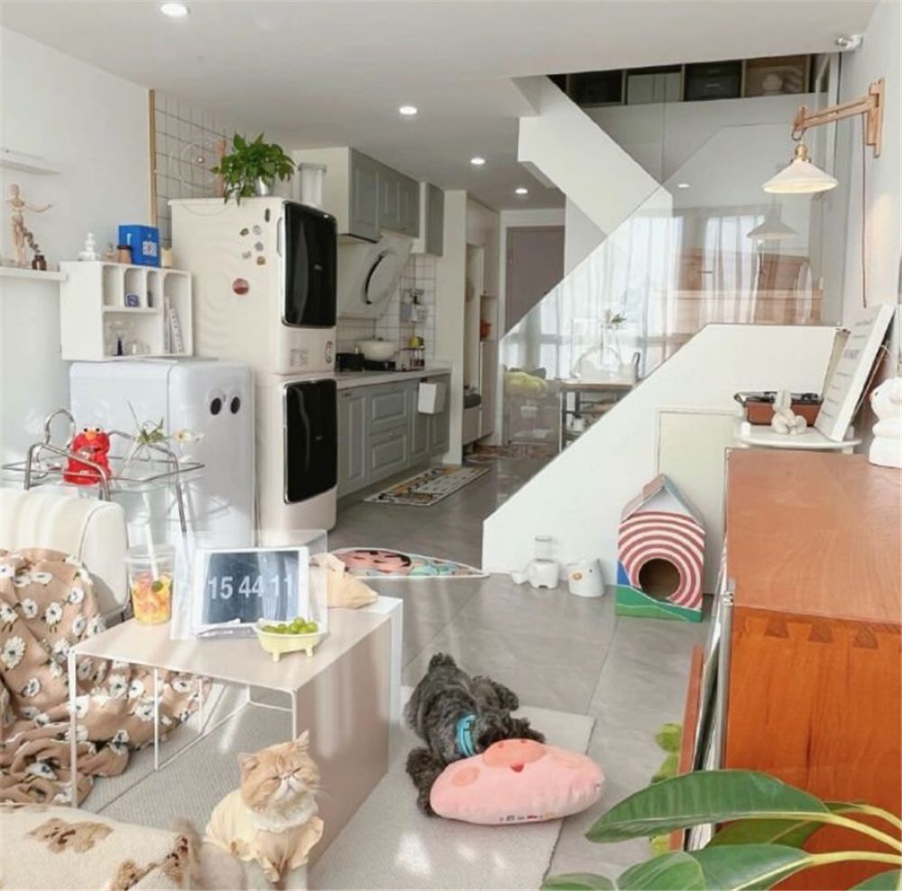 90后姑娘不听劝,买下26㎡LOFT,没想到,一个人入住后还挺爽