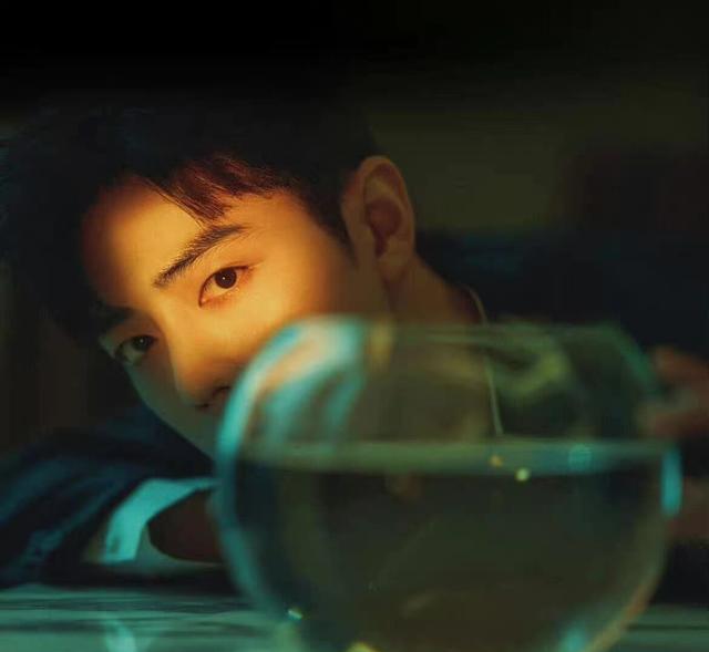 阿里巴巴与神灯|肖战代言新养道，蒙牛第四次寻求合作！粉丝不计前嫌，有大格局