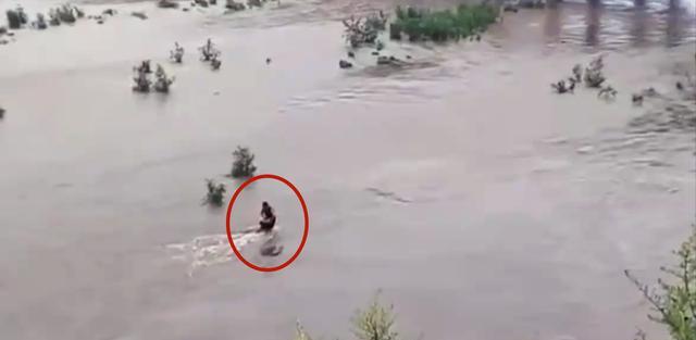 运动|抓鱼丢了小命!四川一男子下河捞鱼被水卷走,路人无计可施干着急