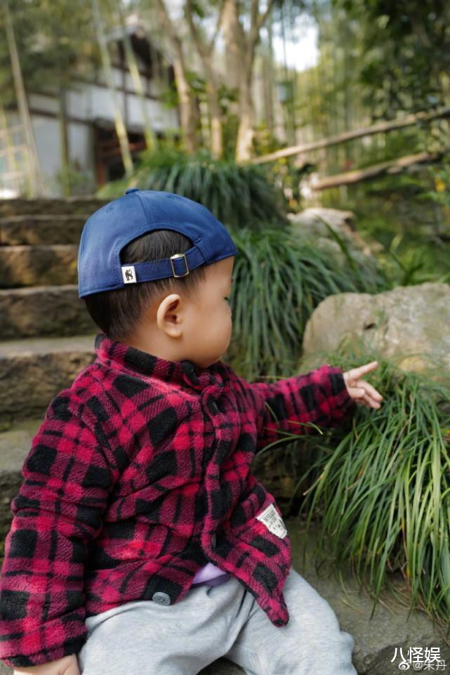 朱丹|朱丹晒周一围视角春游照，手牵儿女漫步，小小围玩树叶好奇心爆棚