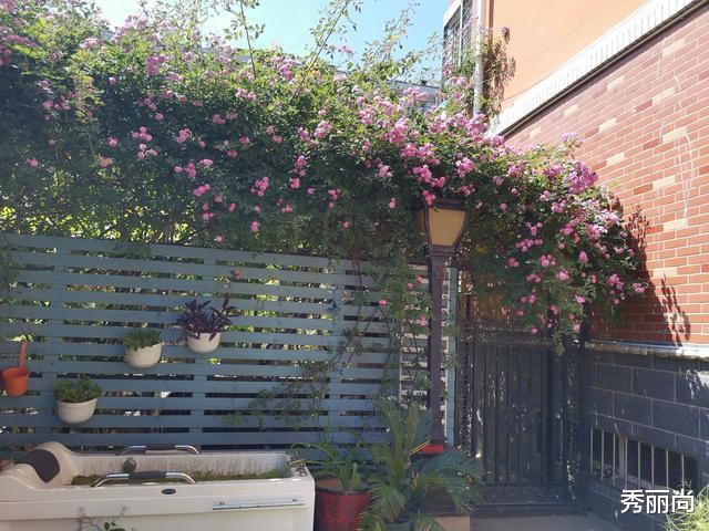 我每做错一道题妈妈就奖励我1元钱,错着错着我就考上清华了