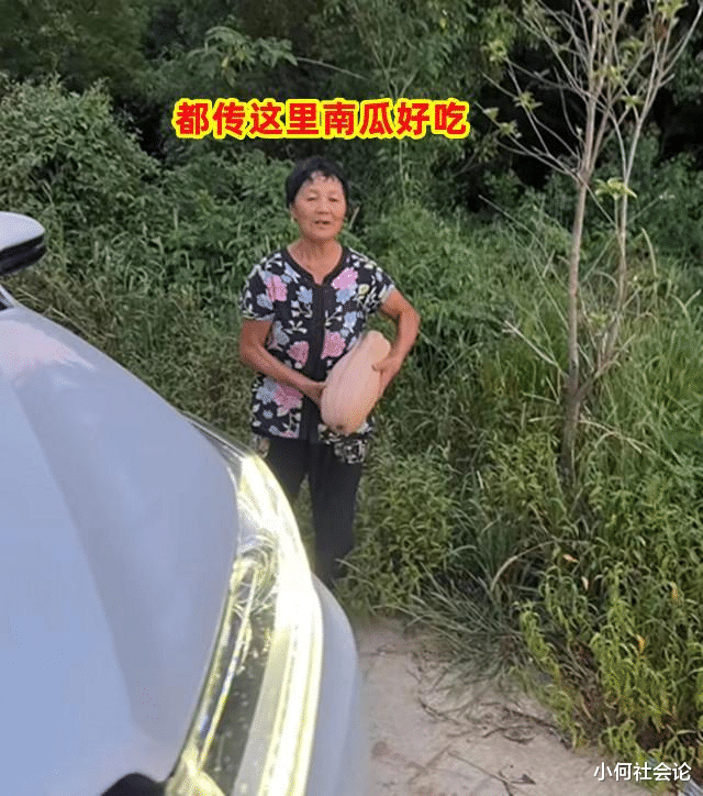 遭老人组团偷瓜女子发声:正在全力抢救第二批瓜苗,没提处理结果