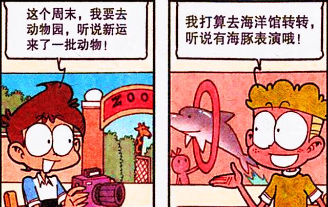 同学相约观察动物,陆地海洋各有特色,奋豆竟偶遇“海底兄弟”!