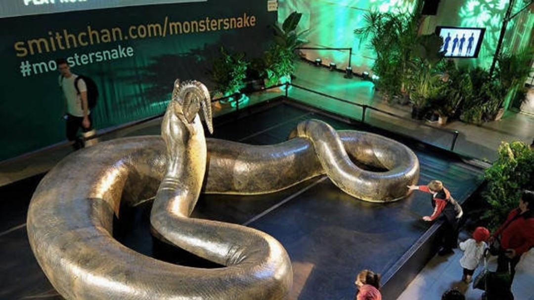 5500万年前的一次“高烧”，地球造就史书上最大蛇类：泰坦蟒！