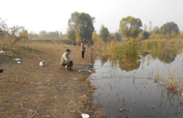 |春钓鲫谨记5个“口诀”，60%的钓友都不知道，学会后拉到“手软”