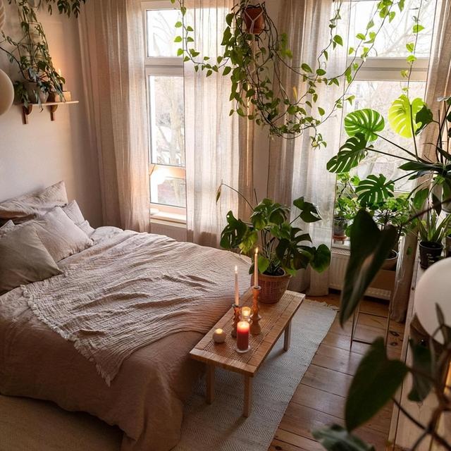 太美了，她在家里摆了1000株绿植，犹如小森林，将生活过成了诗