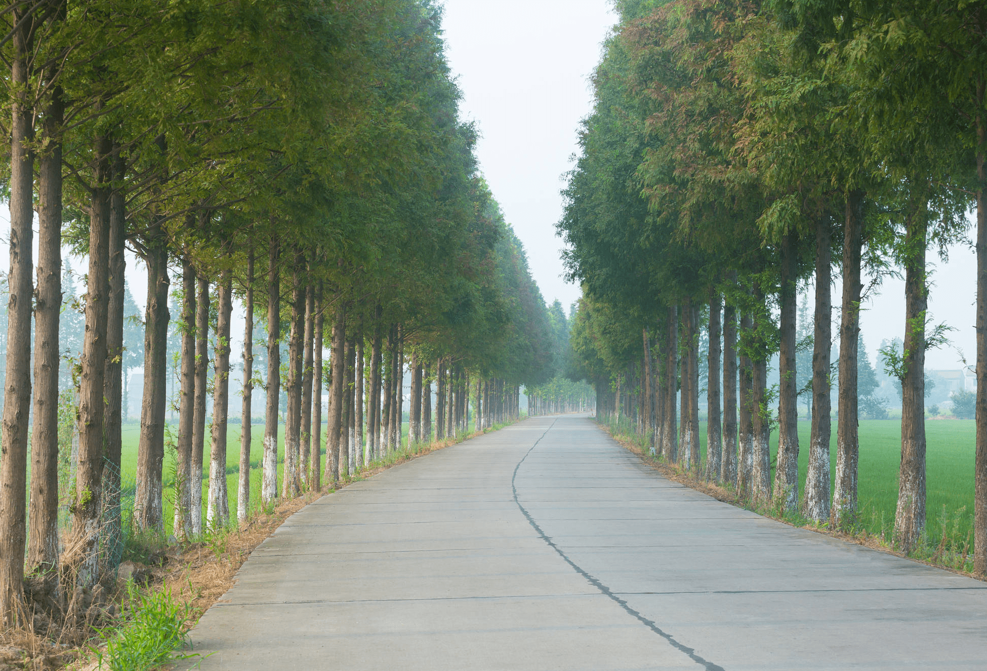 |明叔家如此的遭遇这是为什么