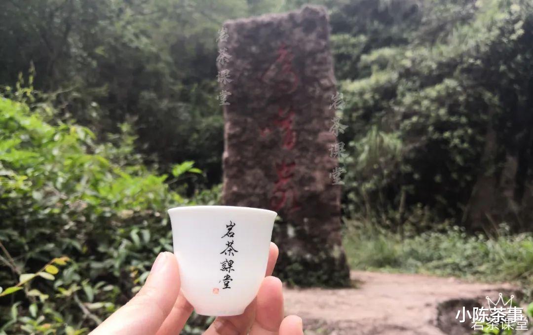 武夷山|章堂涧、古崖居、鹰嘴岩，现场实拍图还原，3分钟带你认识慧苑坑