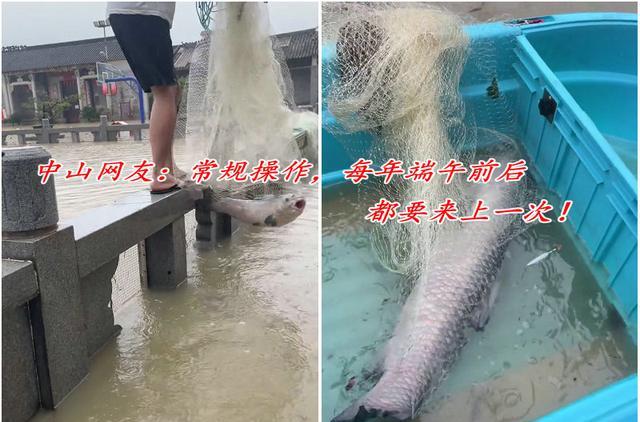 中山男子西装革履却在雨中淡定捕鱼走红,网友:这种快乐不常有
