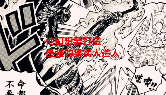 海贼王|海贼王解读：为啥海军和大妈都想要烬的身体？这个种族有何特殊？