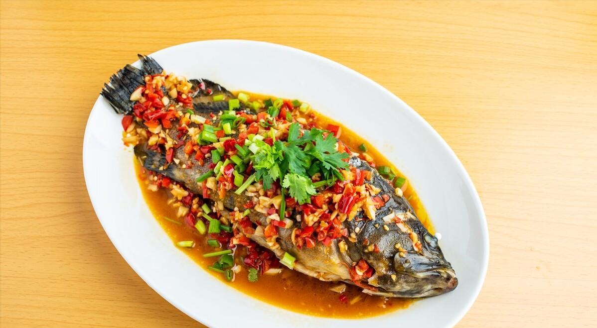 |老公下班后不回家，天天半夜去钓鱼，妻子：鱼吃反胃了，看到都烦