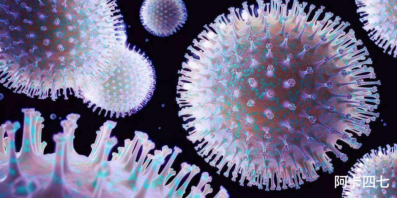 生物入侵有多恐怖?来自美国的黑色包裹,夹藏7000多只活体蝇虫