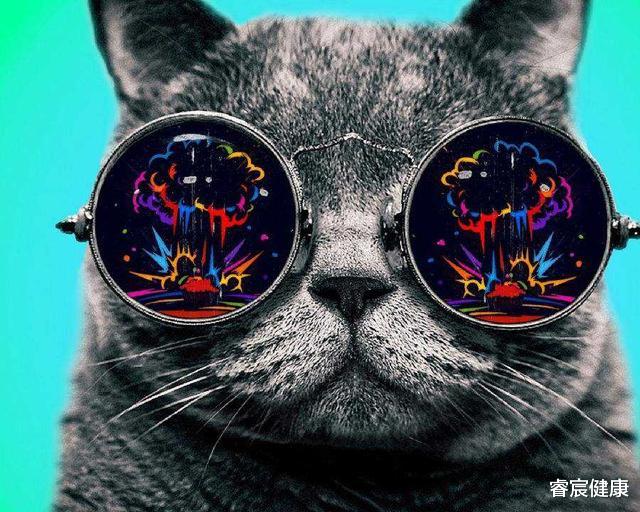 润肺止咳|老年保健产业,别戴着有色眼镜看你,你该怎么做?