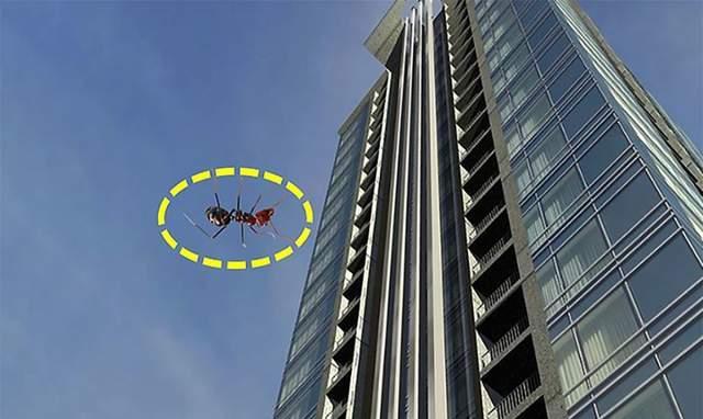 蚂蚁从万米高空掉下会经历什么?最终会摔死吗?